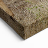 Graceful Antelope in the Savannah – Captivating Wildlife Canvas Art