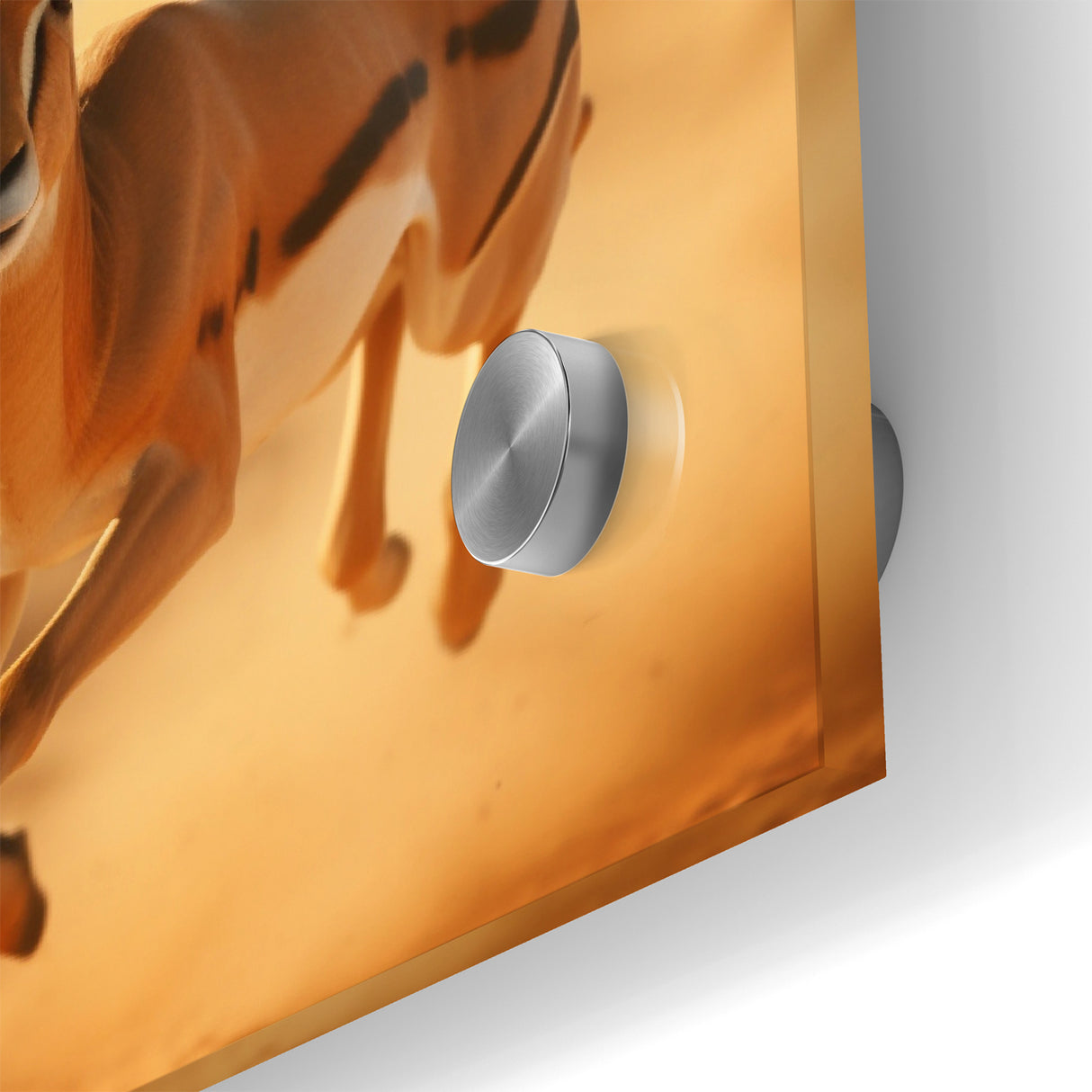 Dynamic Antelope in Motion – Stunning Wildlife Canvas Art
