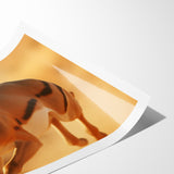 Dynamic Antelope in Motion – Stunning Wildlife Canvas Art