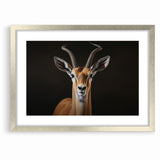 Regal Antelope Portrait – Elegant Wildlife Canvas Art