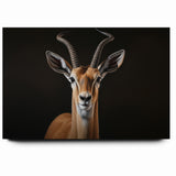 Regal Antelope Portrait – Elegant Wildlife Canvas Art