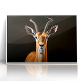 Regal Antelope Portrait – Elegant Wildlife Canvas Art
