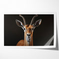 Regal Antelope Portrait – Elegant Wildlife Canvas Art
