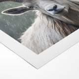 Serene Antelope in the Rain – Captivating Wildlife Canvas Art