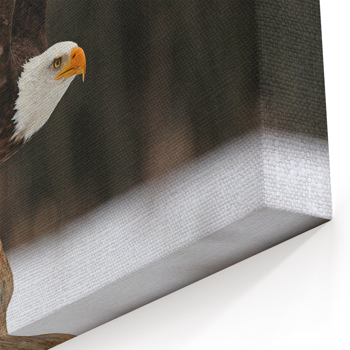 Stunning Bald Eagle Wall Art - Majestic Birds of Prey Wildlife Print