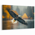 Majestic Bald Eagle Wall Art - Graceful Birds of Prey Wildlife Print