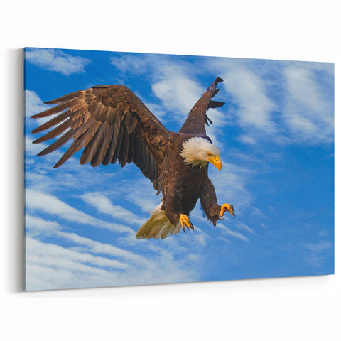 Dynamic Bald Eagle Wall Art - Soaring Birds of Prey Wildlife Print