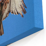 Majestic Hawk Wall Art - Soaring Birds of Prey Wildlife Print