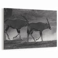 Graceful Antelope Wall Art - Majestic Wildlife Antelope Canvas Print