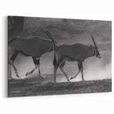 Graceful Antelope Wall Art - Majestic Wildlife Antelope Canvas Print