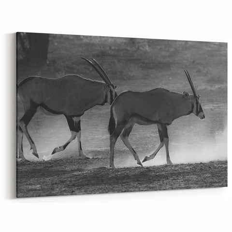 Graceful Antelope Wall Art - Majestic Wildlife Antelope Canvas Print