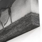Graceful Antelope Wall Art - Majestic Wildlife Antelope Canvas Print