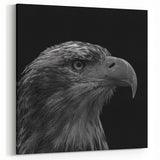 Striking Eagle Portrait Wall Art - Black and White Birds of Prey Print