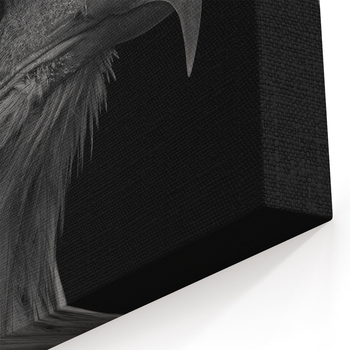 Striking Eagle Portrait Wall Art - Black and White Birds of Prey Print
