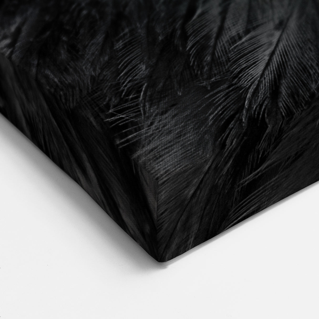 Striking Eagle Portrait Wall Art - Black and White Birds of Prey Print