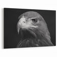 Regal Eagle Portrait Wall Art - Black and White Birds of Prey Print