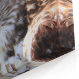 Regal Hawk Close-Up - Striking Birds of Prey Wildlife Portrait Print
