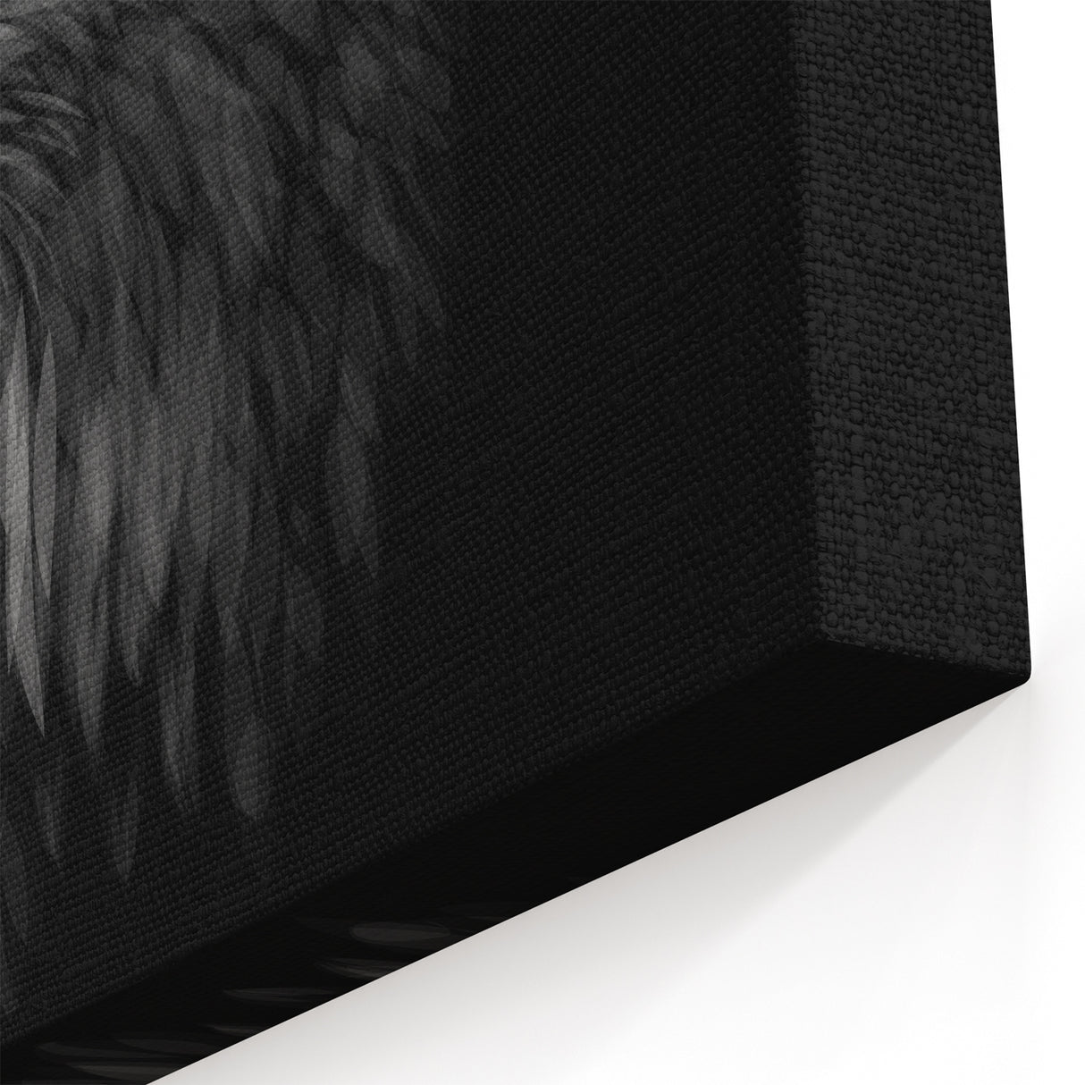 Majestic Eagle Art - Striking Black and White Birds of Prey Print