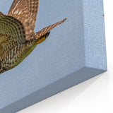 Majestic Birds of Prey Wall Art - Stunning Wildlife Hawk Canvas Print