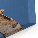Graceful Birds of Prey Wall Art - Majestic Hawk in Flight Canvas Print