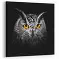 Stunning Owl Wall Art - Majestic Birds of Prey Photography Print