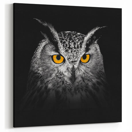 Stunning Owl Wall Art - Majestic Birds of Prey Photography Print