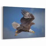 Majestic Eagle Wall Art - Dynamic Birds of Prey in Flight Canvas Print