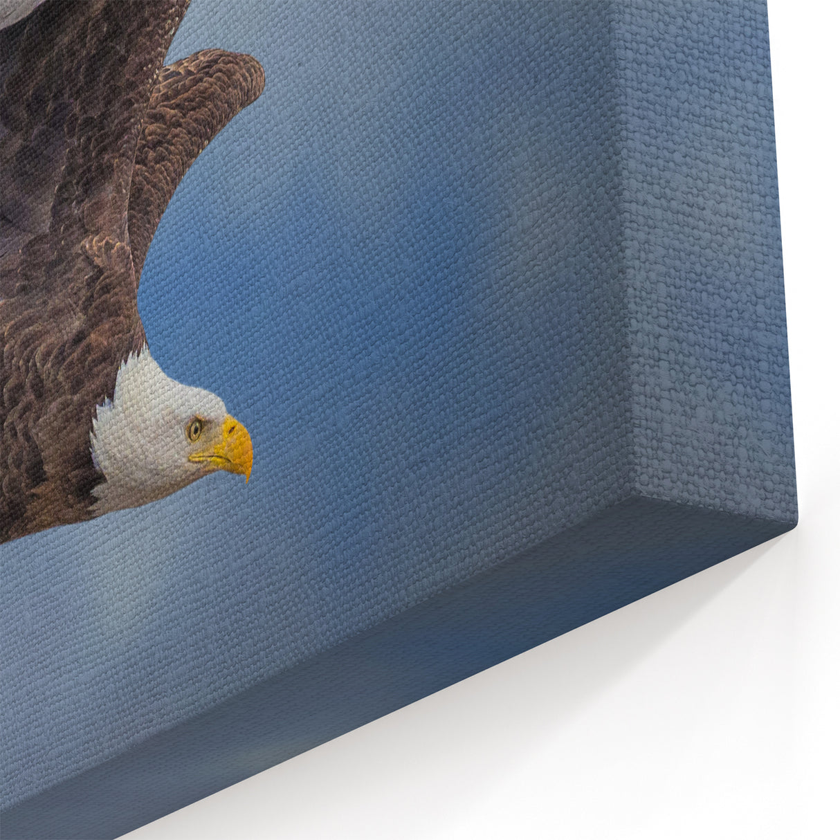 Majestic Eagle Wall Art - Dynamic Birds of Prey in Flight Canvas Print