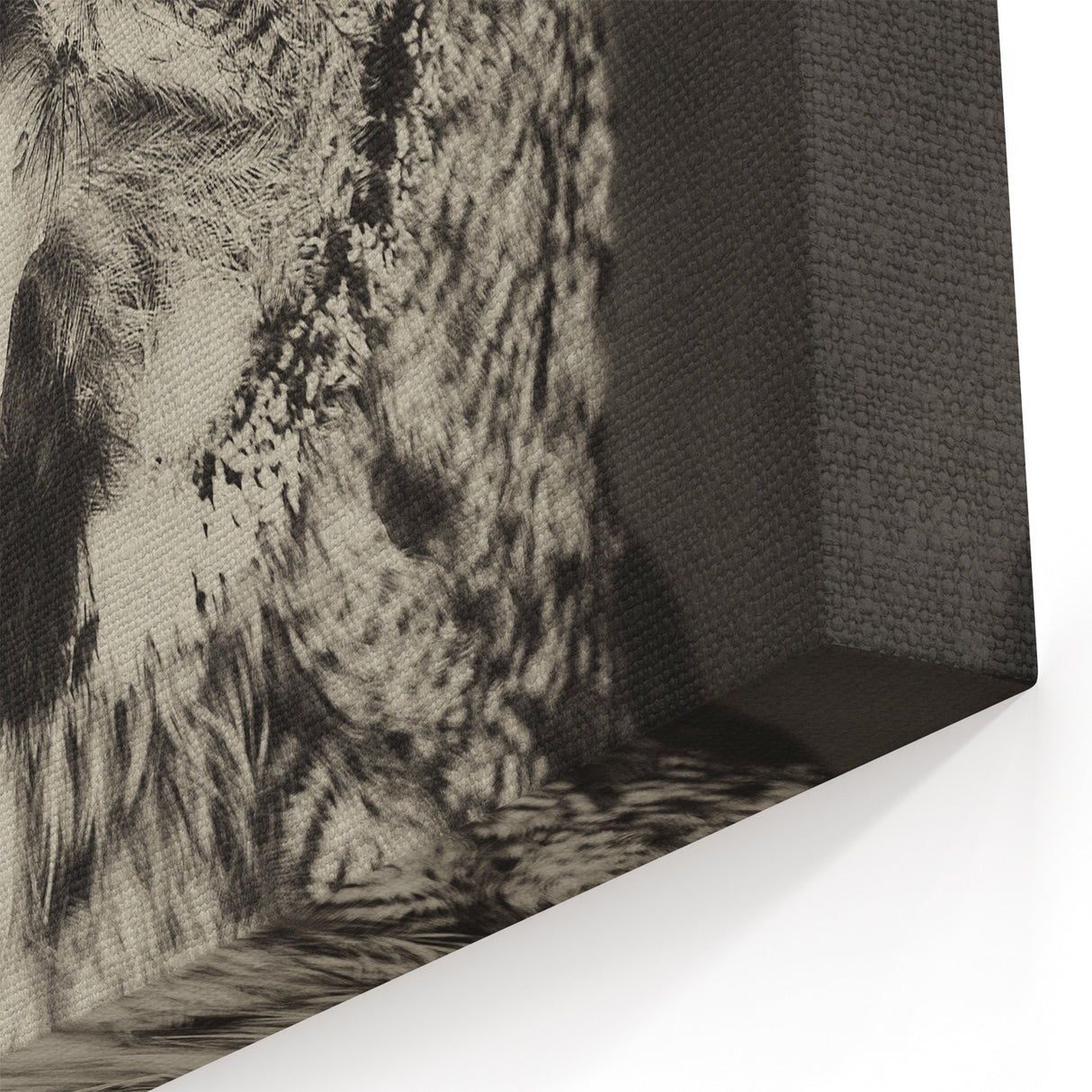 Striking Owl Wall Art - Vintage Monochrome Birds of Prey Canvas Print