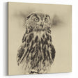 Vintage Owl Wall Art - Elegant Sepia-Toned Birds of Prey Canvas Print