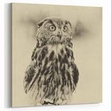 Vintage Owl Wall Art - Elegant Sepia-Toned Birds of Prey Canvas Print