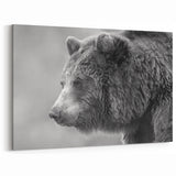 Majestic Black Bear Photography – Graceful Wildlife Bear Wall Art Print