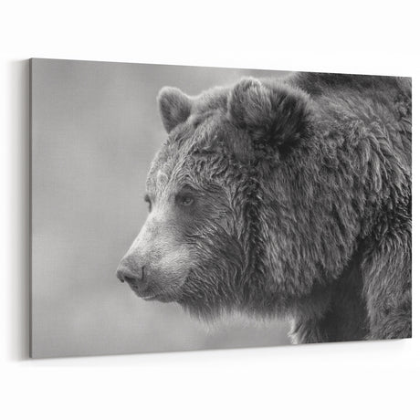 Majestic Black Bear Photography – Graceful Wildlife Bear Wall Art Print