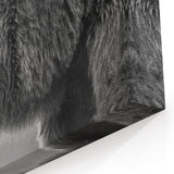 Majestic Black Bear Photography – Graceful Wildlife Bear Wall Art Print