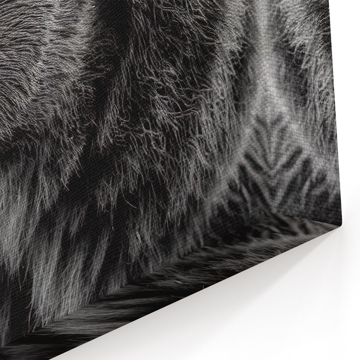 Stunning Black Bear Art – Graceful Wildlife Bear Wall Decor Print