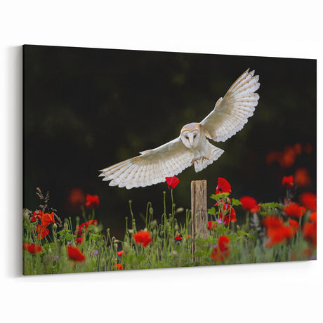 Elegant Owl Wall Art - Stunning Birds of Prey in Blooming Garden Canvas