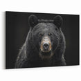 Intense Black Bear Portrait – Majestic Wildlife Wall Art Print