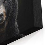 Intense Black Bear Portrait – Majestic Wildlife Wall Art Print