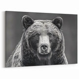 Majestic Black Bear Portrait – Captivating Wildlife Wall Art Print