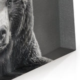Majestic Black Bear Portrait – Captivating Wildlife Wall Art Print