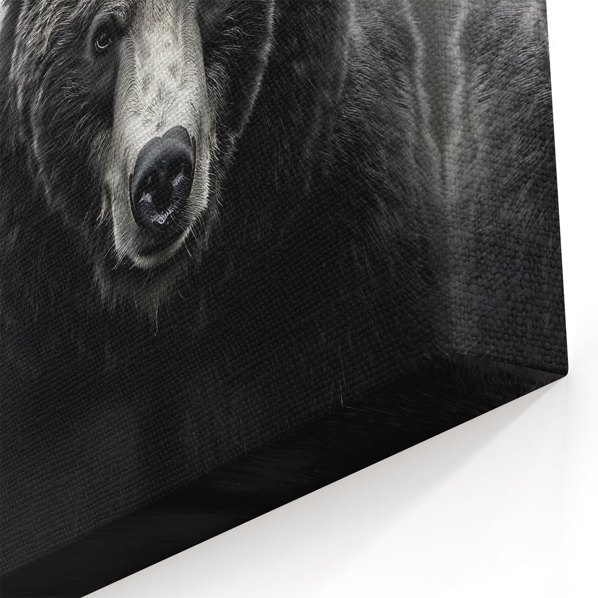 Powerful Black Bear Portrait – Striking Wildlife Wall Art Print