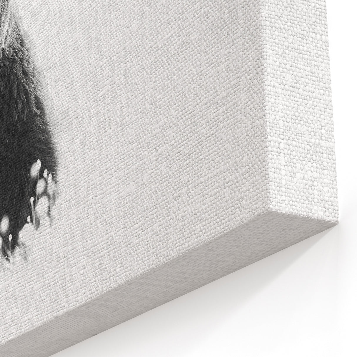 Striking Black Bear in Snow – Elegant Monochrome Wildlife Wall Art