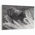 Majestic Bear Wall Art - Stunning Wildlife Photography Canvas Print