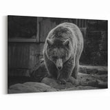 Graceful Bear Wall Art - Elegant Wildlife Photography Canvas Print