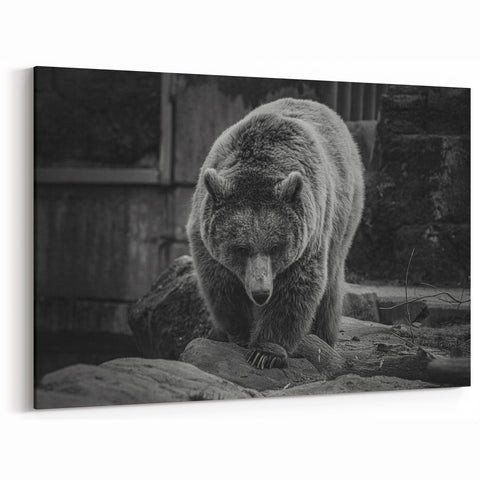 Graceful Bear Wall Art - Elegant Wildlife Photography Canvas Print
