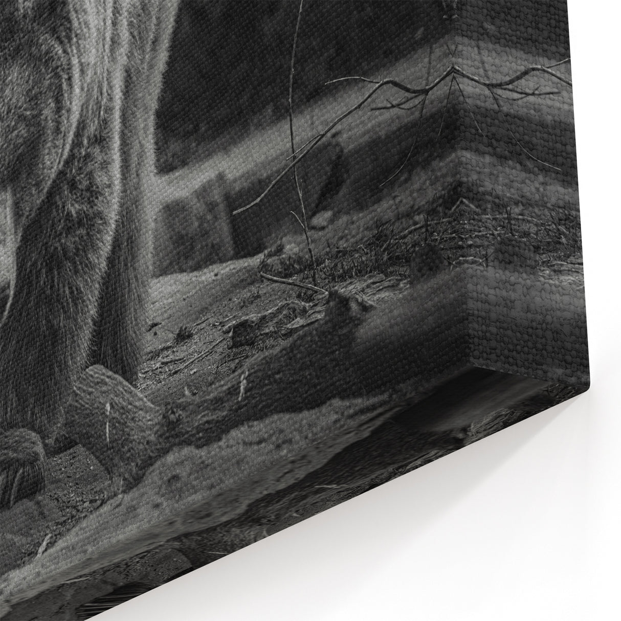 Graceful Bear Wall Art - Elegant Wildlife Photography Canvas Print