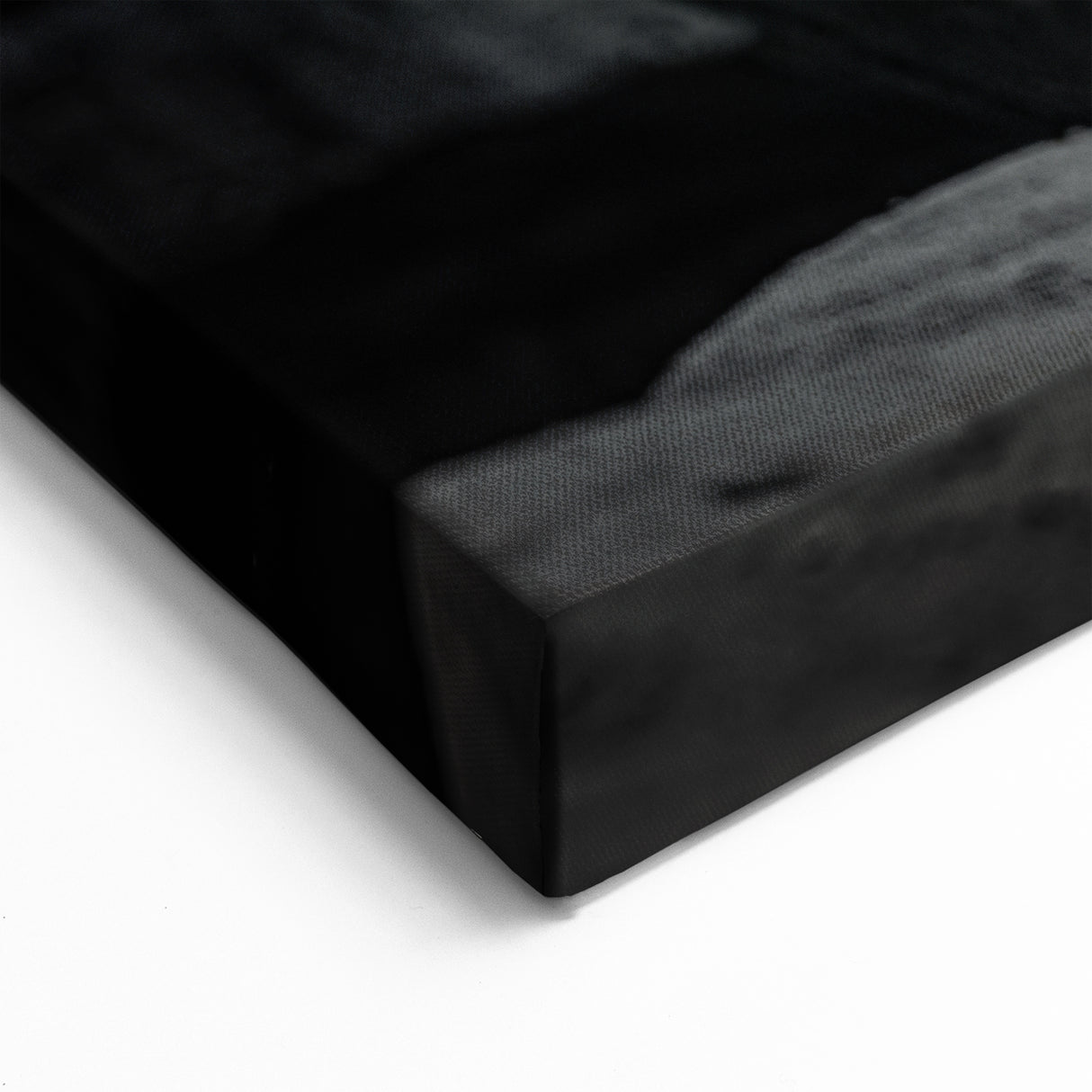 Graceful Bear Wall Art - Elegant Wildlife Photography Canvas Print