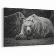 Powerful Bear Wall Art - Captivating Wildlife Photography Canvas