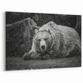 Powerful Bear Wall Art - Captivating Wildlife Photography Canvas