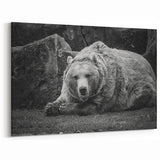 Powerful Bear Wall Art - Captivating Wildlife Photography Canvas
